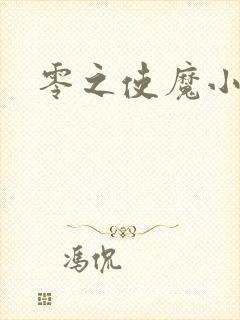 零之使魔小说封面