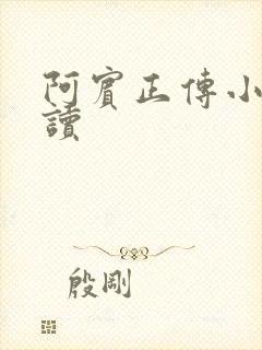 阿宾正传小说在读