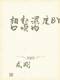 相对湿度BY大口吃肉