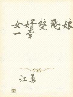 女婿双飞娘俩第一章