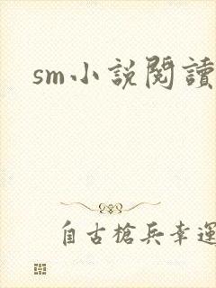 sm小说阅读封面