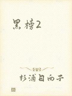 黑榜2封面