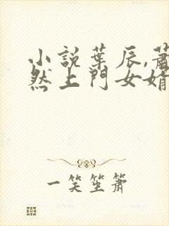 小说叶辰,萧初然上门女婿