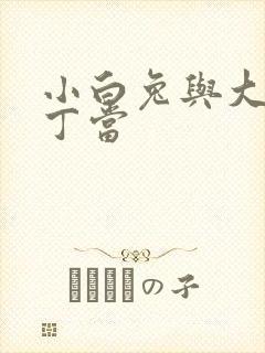 小白兔与大灰狼丁当