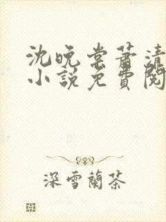 沈晚棠萧清渊的小说免费阅读