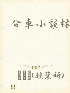 公车小说林蔓蔓