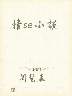 情se小说
