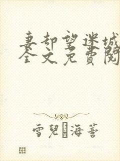 妻却望迷城沈莹全文免费阅读笔趣阁