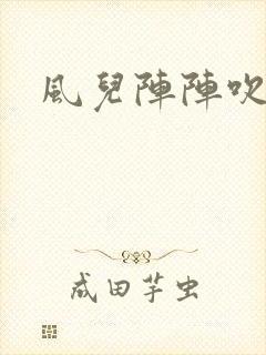 风儿阵阵吹封面