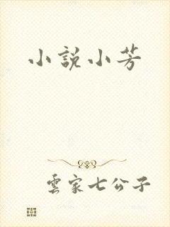 小说小芳