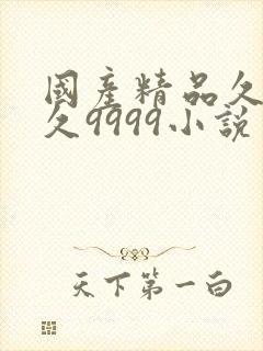 国产精品久久久久9999小说