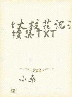 t大校花沉浮录续集TXT