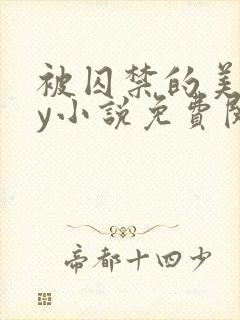 被囚禁的美人by小说免费阅读