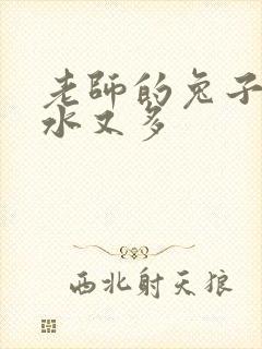 老师的兔子又软水又多