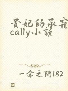 贵妃的承宠日常cally小说