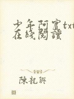 少年阿宾txt在线阅读