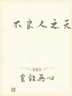 不良人之天罡传封面