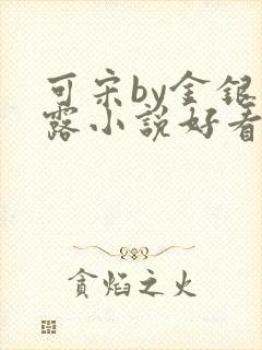 可宋by金银花露小说好看吗