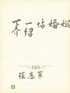 下一站婚姻剧情介绍