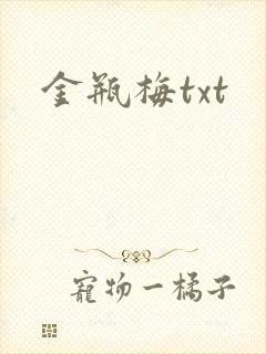金瓶梅txt