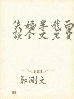 失婚半截白菜小说全文免费阅读封面