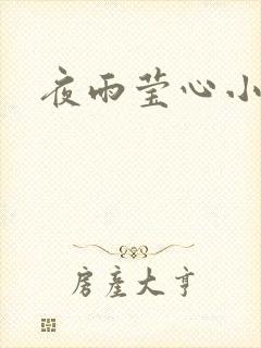 夜雨莹心小说