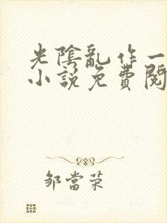 光阴乱作一团的小说免费阅读