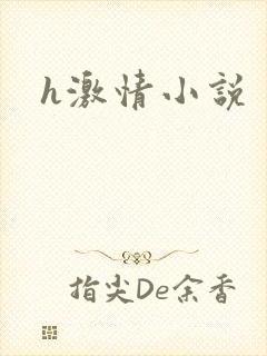 h激情小说