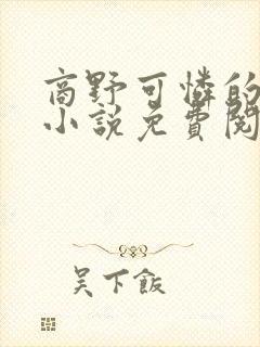 商野可怜的社畜小说免费阅读