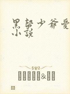 黑帮少爷爱上我小说