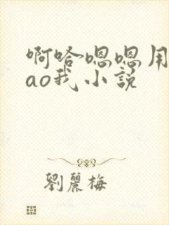 啊哈嗯嗯用力cao我小说