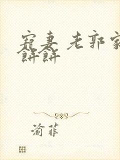 宠妻 老郭家的饼饼封面