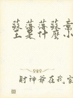 苏落落苏意瑶睿王是什么小说封面