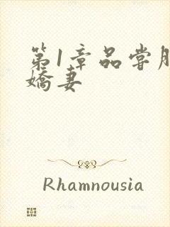 第1章品尝朋友娇妻