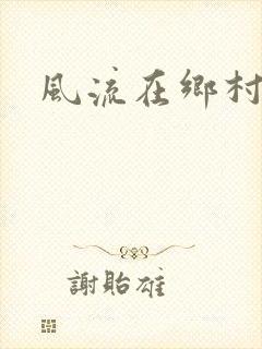 风流在乡村封面