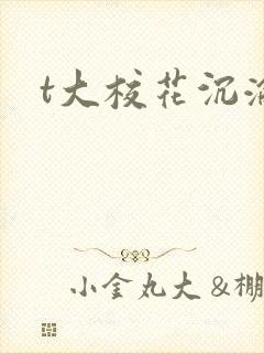 t大校花沉沦