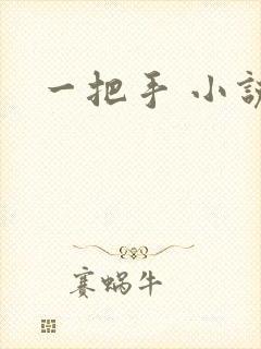 一把手 小说