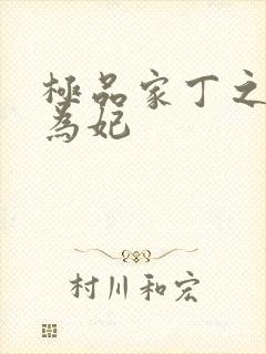 极品家丁之册母为妃