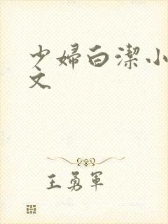 少妇白洁小说全文封面