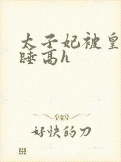 太子妃被皇上强睡高h