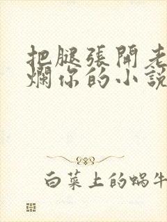 把腿张开老子臊烂你的小说