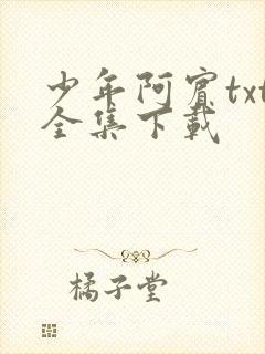 少年阿宾txt全集下载