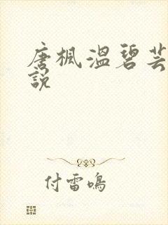 唐枫温碧芸的小说