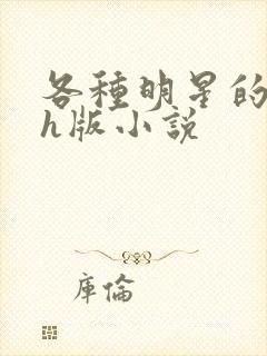 各种明星的综艺h版小说封面