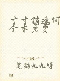 寸寸销魂何生祥全本免费