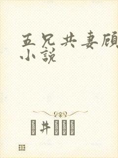 五兄共妻顾心儿小说
