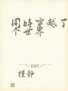 同时穿越了99个世界