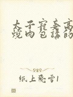 太子宠妾高肉红烧肉包讲的什么