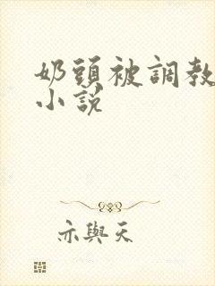 奶头被调教大的小说封面