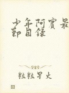 少年阿宾最新章节目录